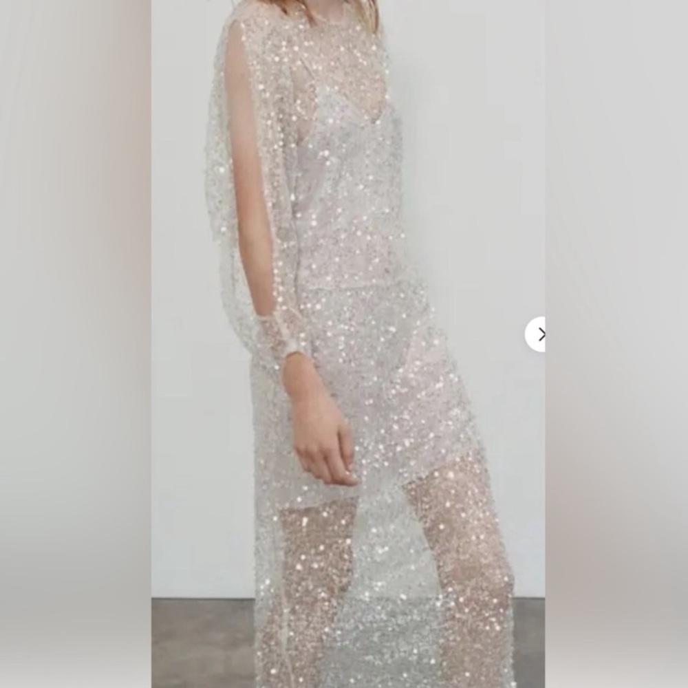 ZARA Cream Gold Sequin Sheer Net Mesh Open Back Dress